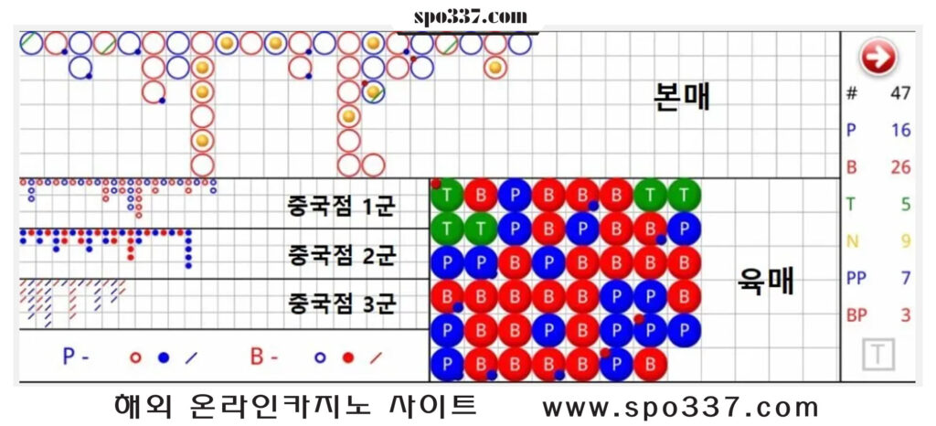 바카라 그림 패턴 활용법