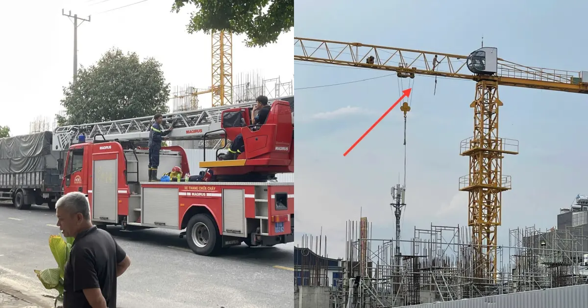 Diễn biến sự việc